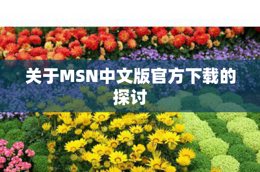 关于MSN中文版官方下载的探讨图片