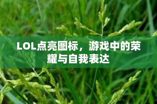 游戏中的荣耀与自我表达图片
