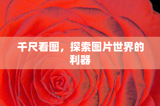 探索图片世界的利器图片