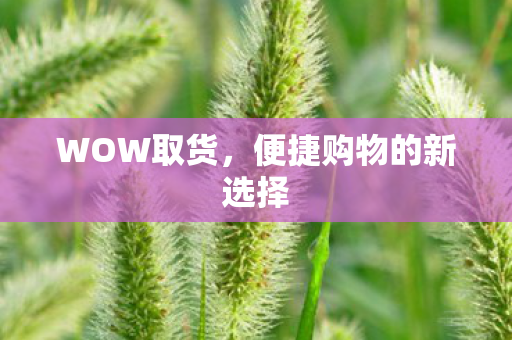 便捷购物的新选择图片