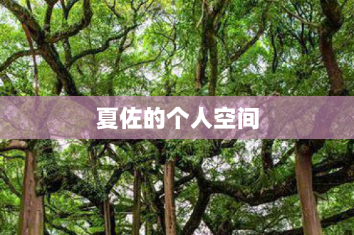 夏佐的个人空间图片