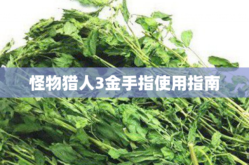 怪物猎人3金手指使用指南图片