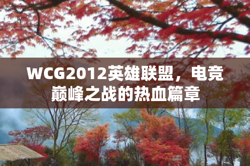 WCG2012英雄联盟图片