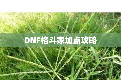 DNF格斗家加点攻略图片
