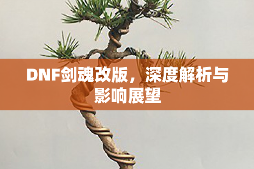 深度解析与影响展望图片