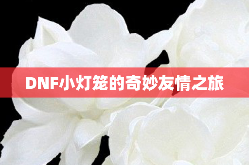 DNF小灯笼的奇妙友情之旅图片