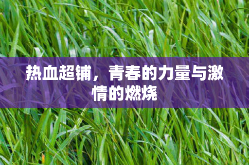 青春的力量与激情的燃烧图片