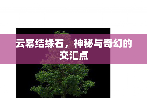神秘与奇幻的交汇点图片