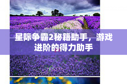 星际争霸2秘籍助手图片