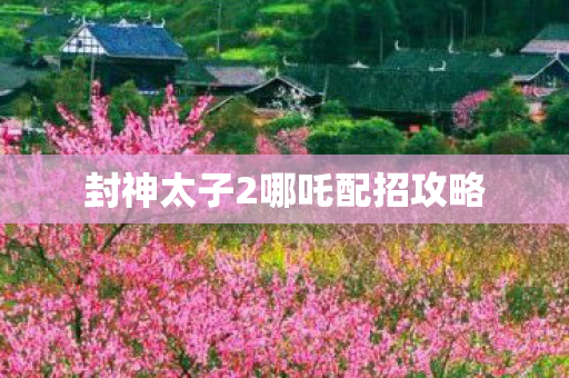 封神太子2哪吒配招攻略图片