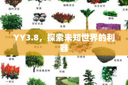 探索未知世界的利器图片