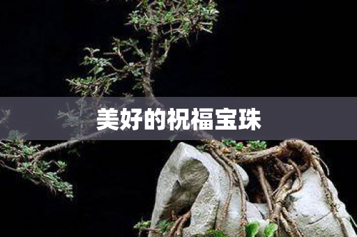 美好的祝福宝珠图片