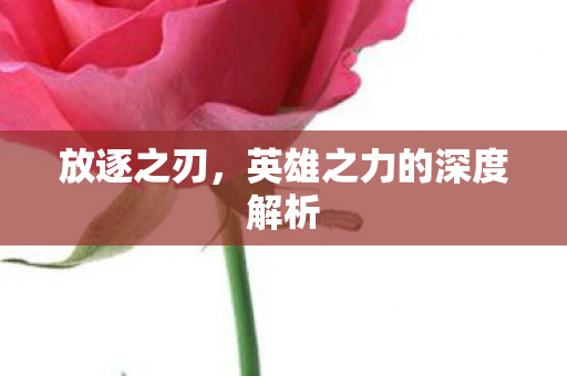 英雄之力的深度解析图片