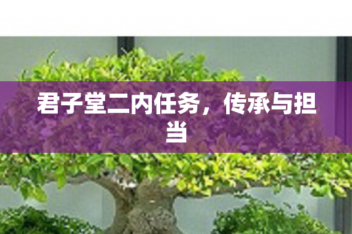 君子堂二内任务图片