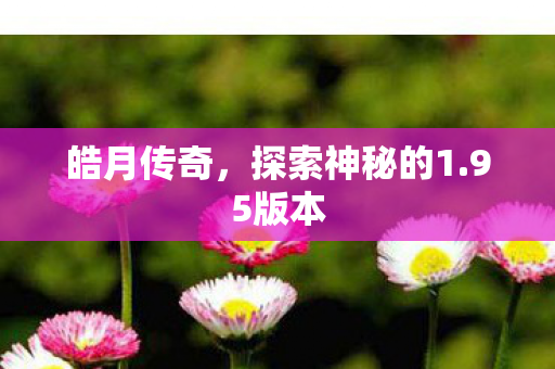探索神秘的1图片