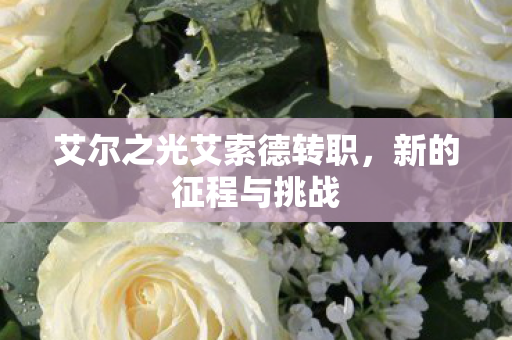 艾尔之光艾索德转职图片