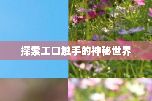 探索工口触手的神秘世界图片