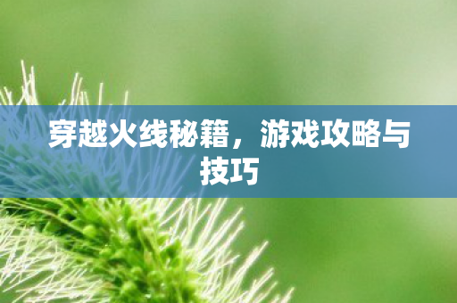 游戏攻略与技巧图片