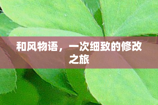 和风物语，一次细致的修改之旅