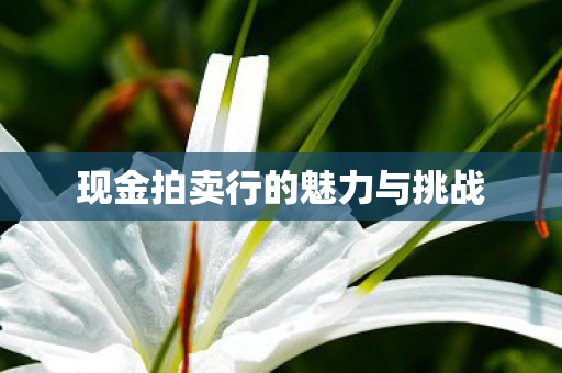 现金拍卖行的魅力与挑战图片