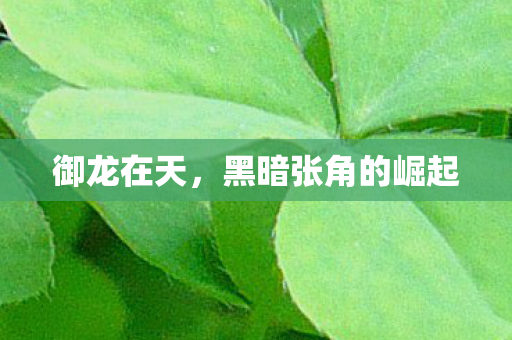 黑暗张角的崛起图片