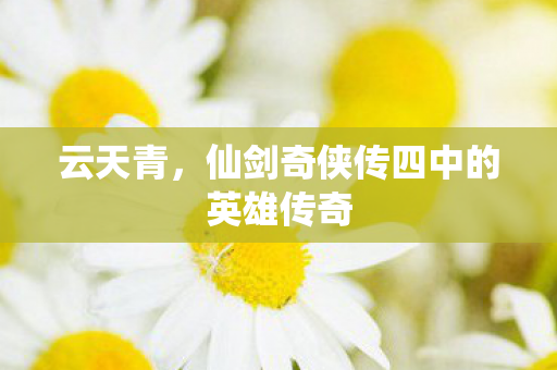 仙剑奇侠传四中的英雄传奇图片