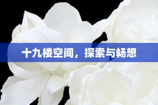 十九楼空间图片