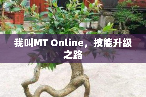 我叫MT Online图片