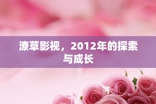 2012年的探索与成长图片