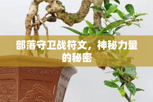部落守卫战符文图片