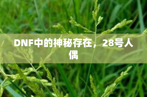DNF中的神秘存在图片