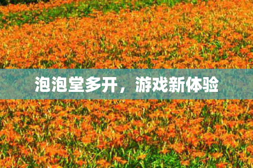 泡泡堂多开图片