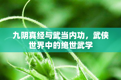 武侠世界中的绝世武学图片