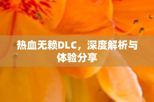 深度解析与体验分享图片