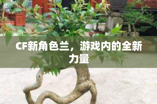 游戏内的全新力量图片