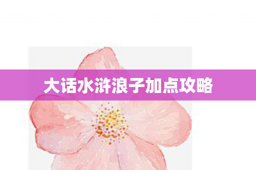 大话水浒浪子加点攻略图片