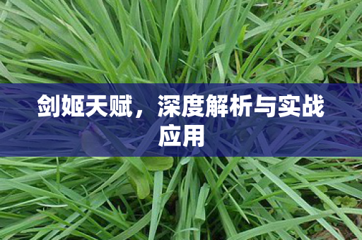 深度解析与实战应用图片