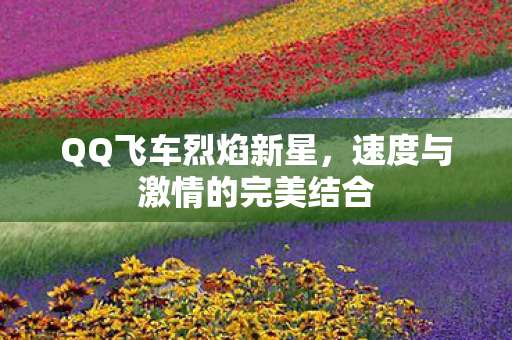 速度与激情的完美结合图片