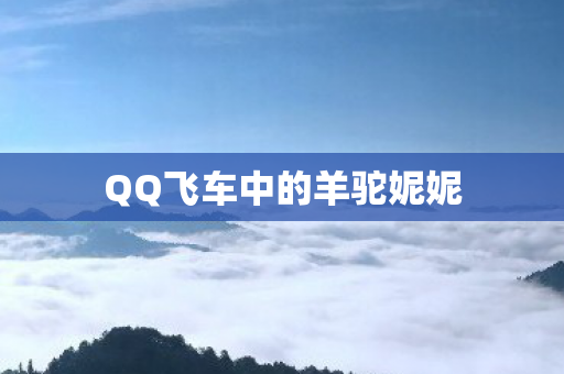 QQ飞车中的羊驼妮妮图片