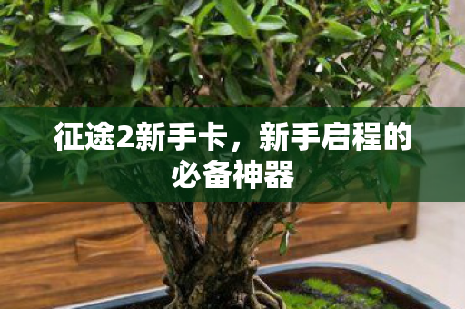 新手启程的必备神器图片