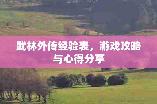游戏攻略与心得分享图片