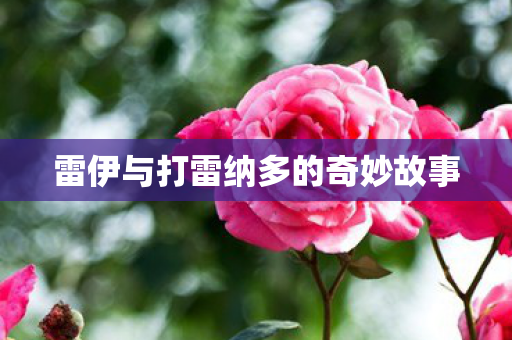 雷伊与打雷纳多的奇妙故事图片