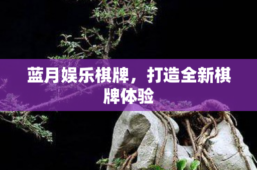 打造全新棋牌体验图片