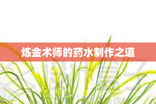 炼金术师的药水制作之道图片