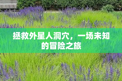 一场未知的冒险之旅图片