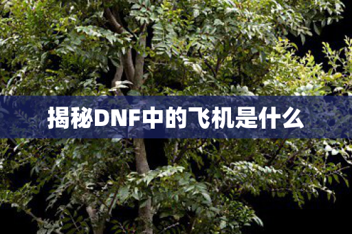 揭秘DNF中的飞机是什么图片