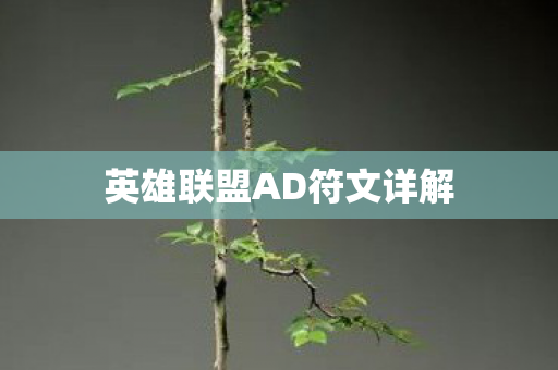 英雄联盟AD符文详解图片