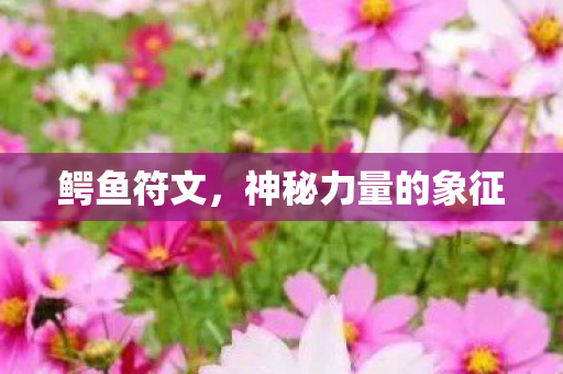 神秘力量的象征图片