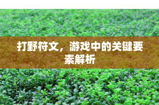 游戏中的关键要素解析图片