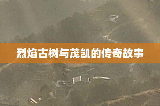 烈焰古树与茂凯的传奇故事图片